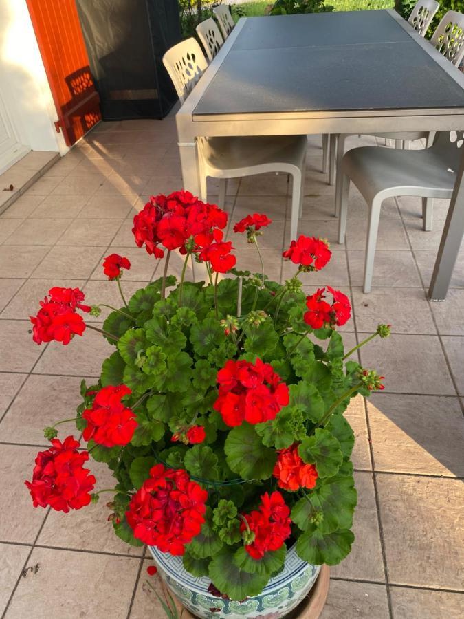 Ilargi Argi Bed & Breakfast Saint-Pee-sur-Nivelle Luaran gambar